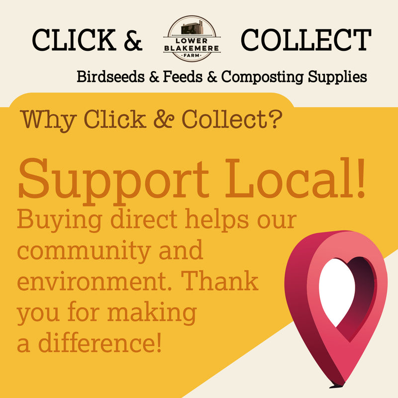 Click & Collect your order Today!