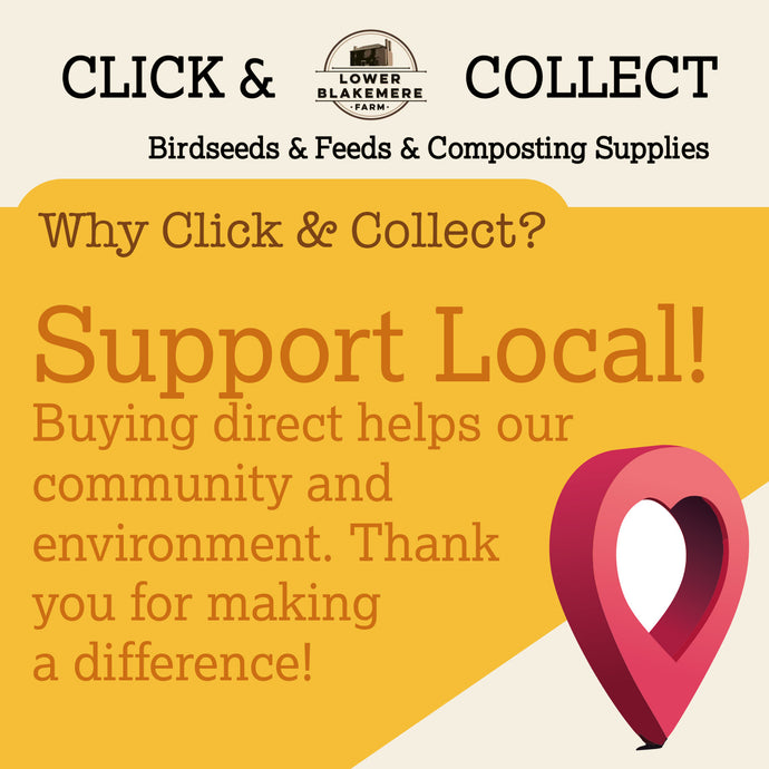Click & Collect your order Today!