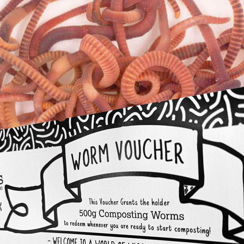 Transform Your Garden with Wiggly Wigglers' Composting Worms Voucher