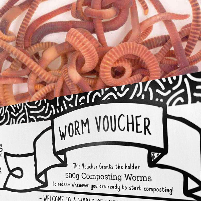 Transform Your Garden with Wiggly Wigglers' Composting Worms Voucher