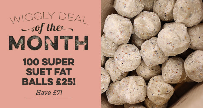 Our January 2022 Deal of the Month - 9.5kg of Super Suet Fat Balls £25 (Saving £7)
