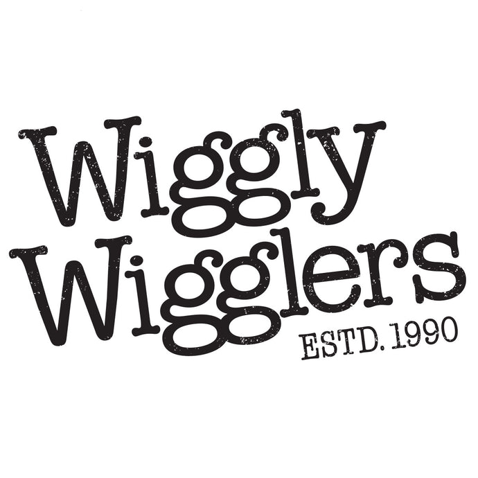 What We Are Here For - our Wiggly Values