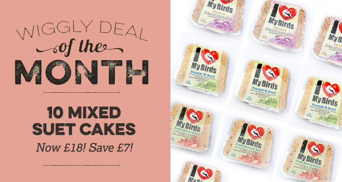 Our Deal of the Month December 2021 - 10 SUET CAKES FOR £18 (USUALLY £25)