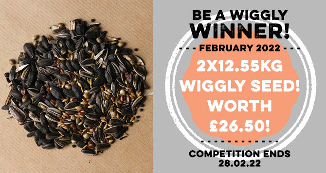 Win with WW February 2022 - Win 2X12.55KG of Wiggly Seed Extra!