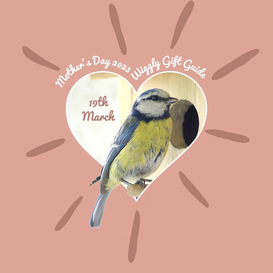 The Wiggly Guide to Mothering Sunday Gifts.