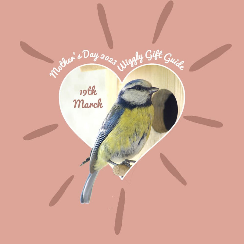 The Wiggly Guide to Mothering Sunday Gifts.