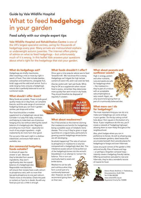 The Vale Wildlife Hospital Guide to Feeding Hedgehogs