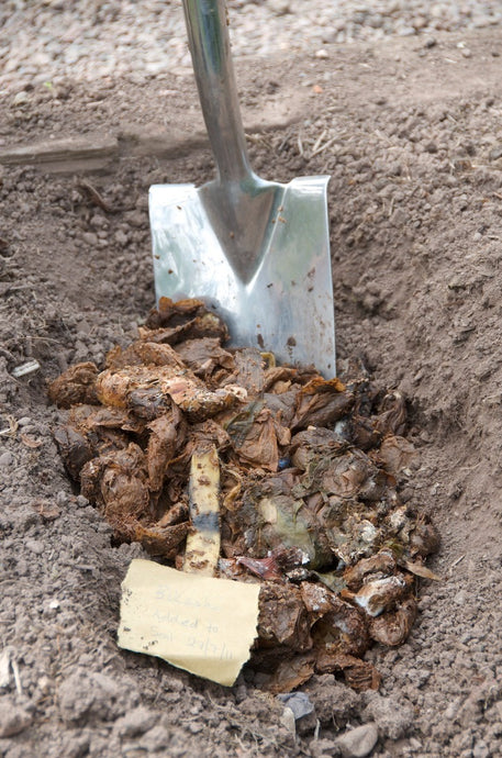 How to deal with your food waste and make the most amazing compost!