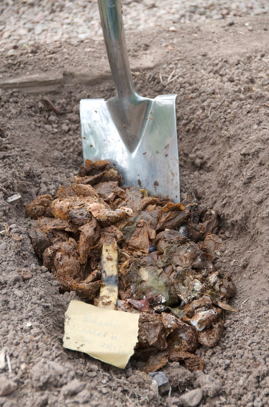 Bokashi Compost is amazing for your garden soil!