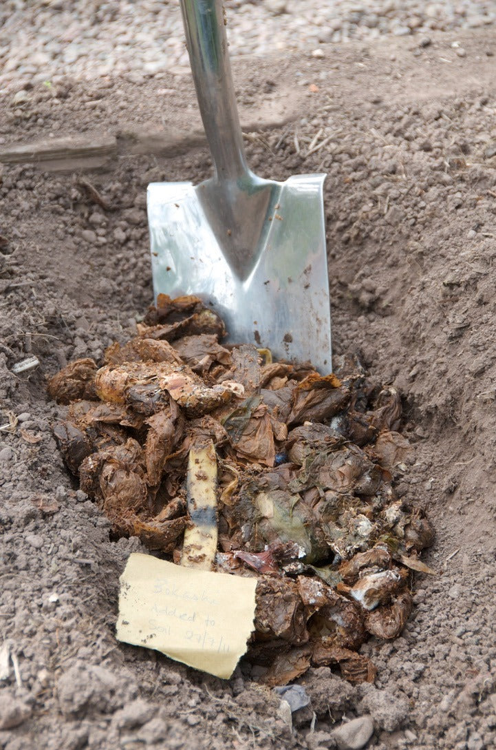 Bokashi Compost is amazing for your garden soil!