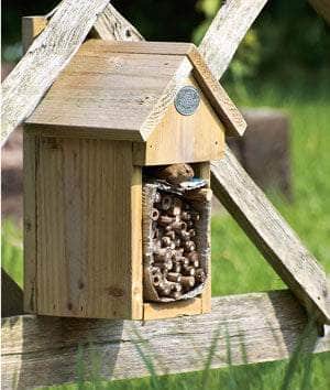 Why Should I Have Bug and Insect Homes in My Garden?
