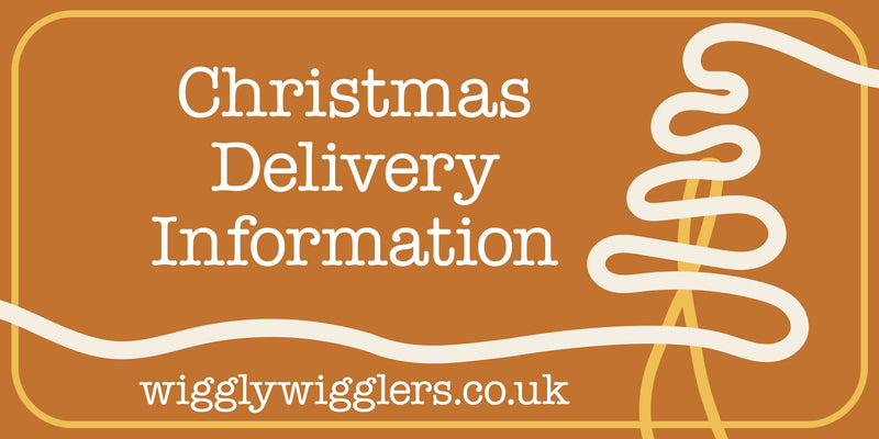 Everything you need to know about out Wiggly Christmas Deliveries 🎄