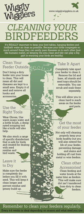 Cleaning Your Birdfeeders - A Wiggly Infographic