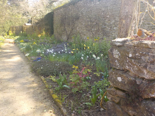 We’ve just had a message of thanks for mealworms and birdseed from this grateful Robin at Munstead Wood. Isn’t he lovely?