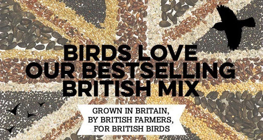 British Mix - Grown and Sown in Great Britain.