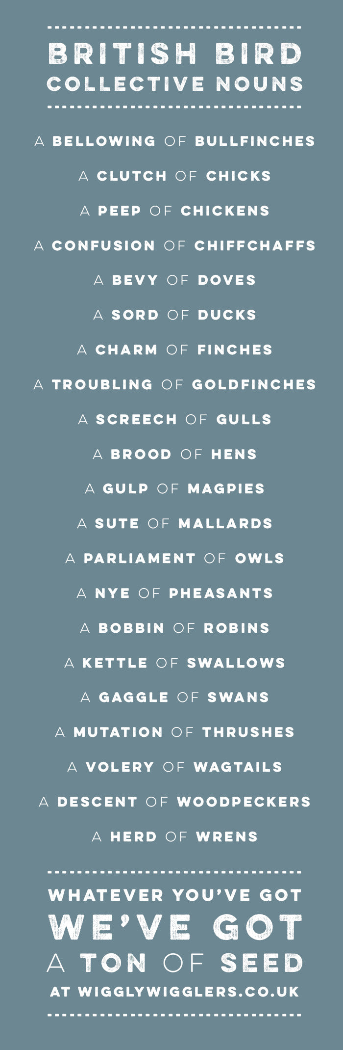 Collective Nouns for your British Birds