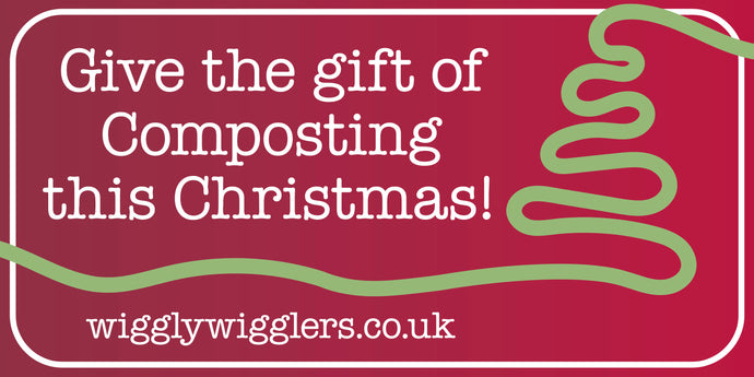 Gift A-Compost: Top 5 Christmas Composting Ideas!