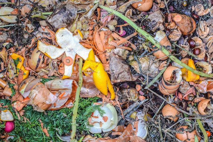 Would it be okay to put cooked food waste in my garden composter?