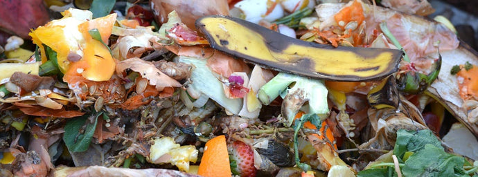 Fresh Fruit and Veg accounts for nearly 40% of household waste volumes!