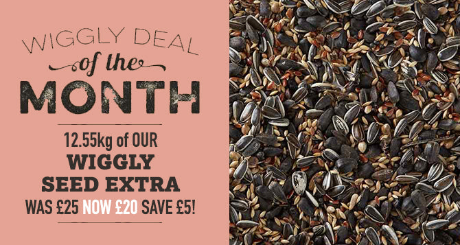 Our August Deal of the Month! Our Bestselling Wiggly Seed Extra 12.55kg for £20 - SAVE OVER 20%!