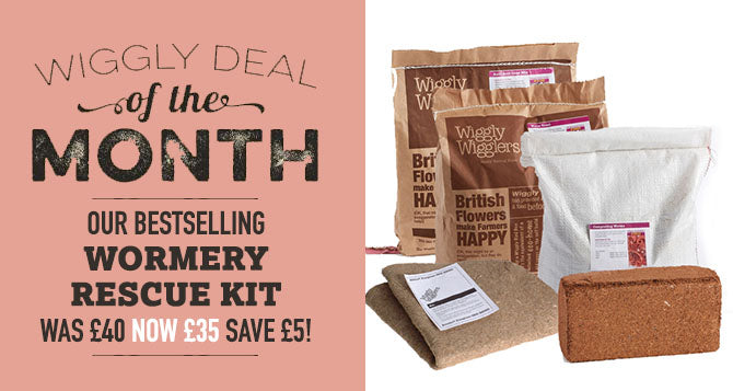 Our April 2022 Deal of the Month! £5 off our Wormery Rescue Kit -  USUALLY £40 - NOW £35!