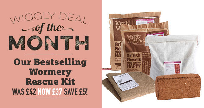 Our April 2023 Deal of the Month! £5 off our Wormery Rescue Kit