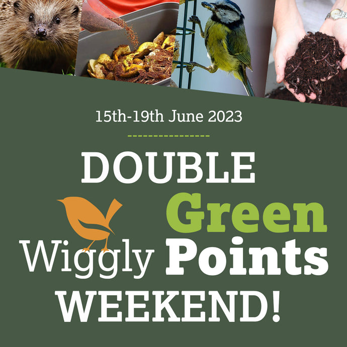 Welcome to our Wiggly Double Points Weekend!