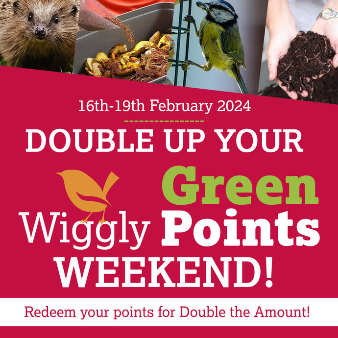 Double Up your Wiggly Green Points this Weekend!