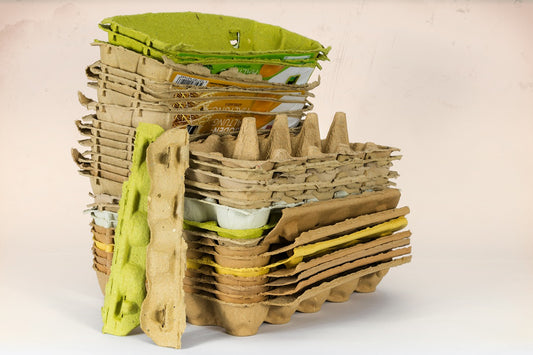Cardboard and compost critters