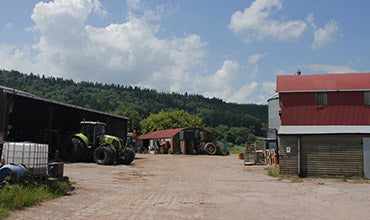 Beyond the Wiggle July 2021