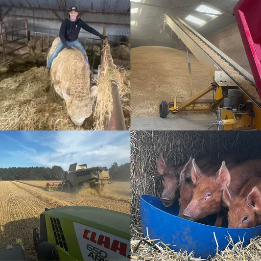 What Does a Farm Have to Do With Wormeries, Bokashi and Birdfood?