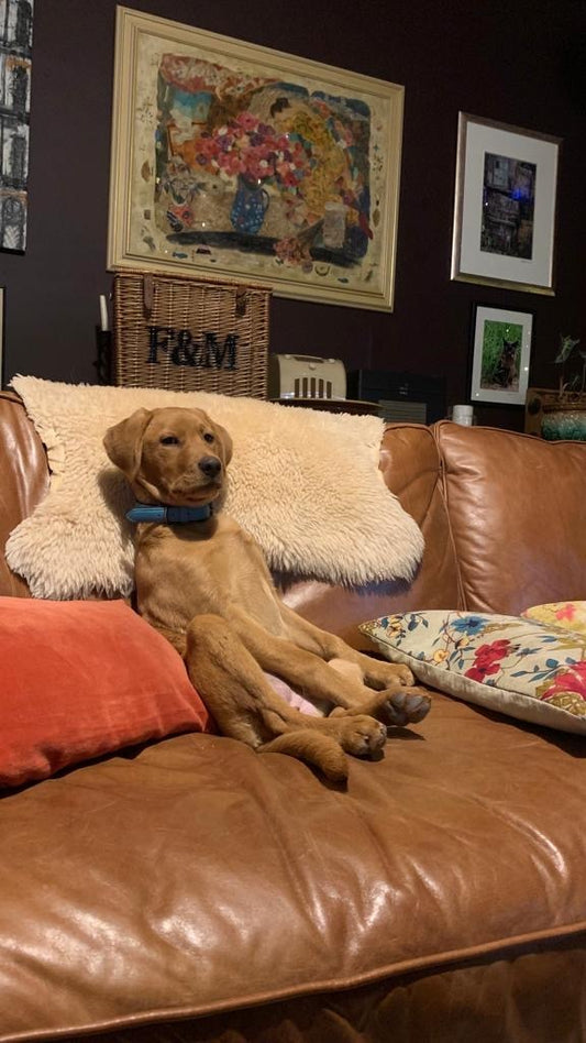 Meet Fern – Farmer Phil’s latest love…