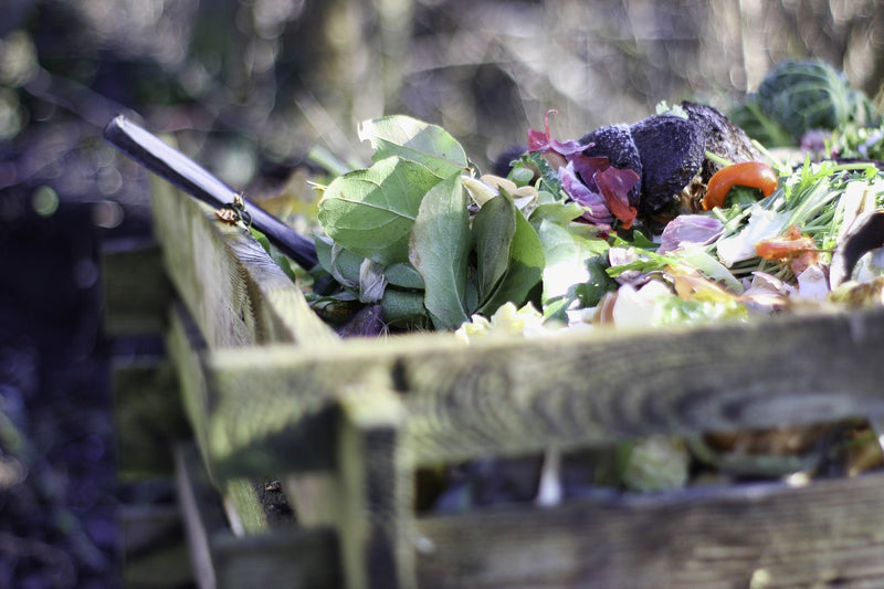 The Magic of Compost Heaps
