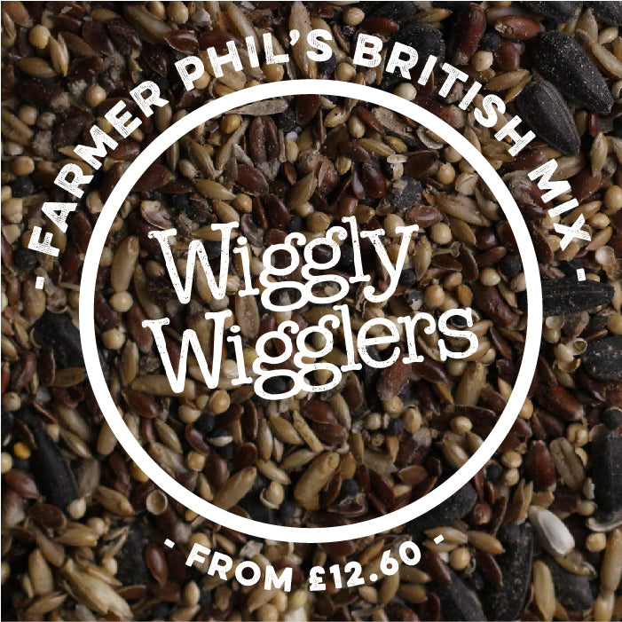 Operation: Mother's Day 2016