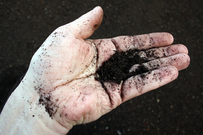 How do I know if my worm compost is ready?