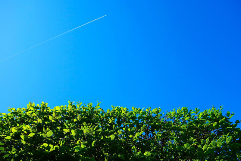 Top ten of most dangerous garden objects