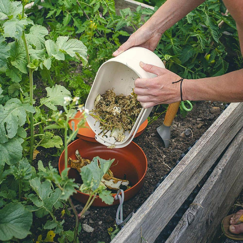 Caring for In-Ground Worm Farms During Hot Weather