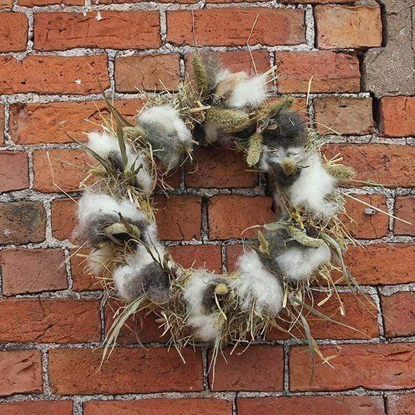 Beyond The Wiggly APRIL 2021