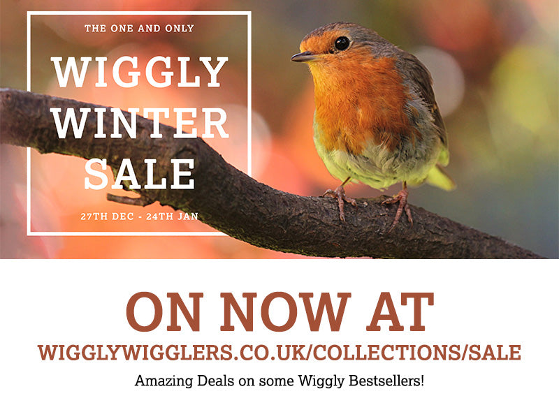 Welcome to the Wiggly Winter Sale - Save up to 50% on some wiggly goodies :)