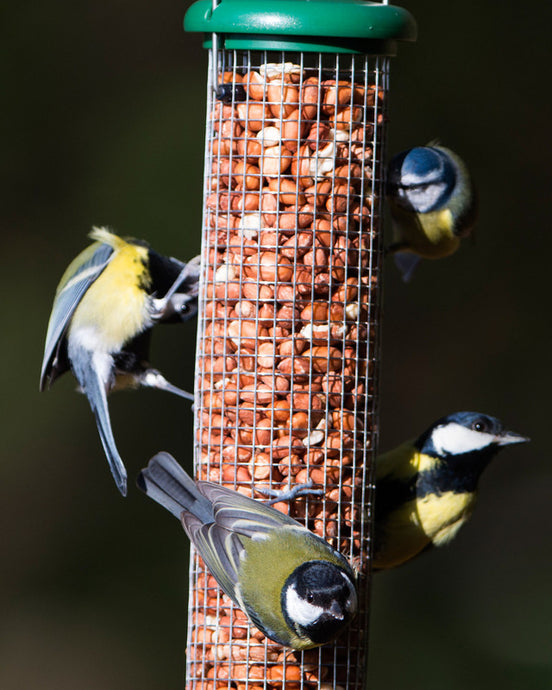 Tits + Peanuts + Our Ringpull Feeders = A Match Made in Heaven!
