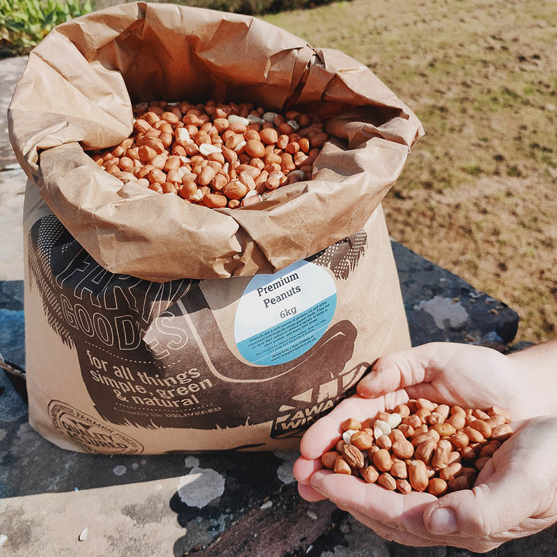 Wiggly Peanuts are one of our top picks for your garden peckers!