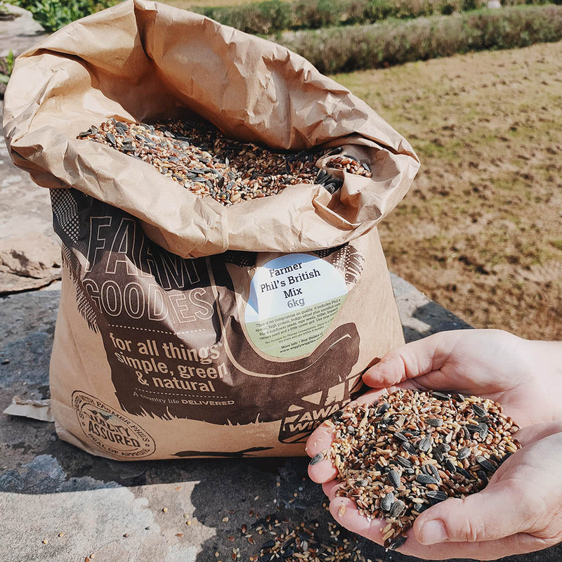 WW Video: 🌿✨ New to Birdfeeding? Start Here! 🐦✨