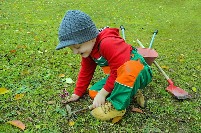 Worm Composting in School