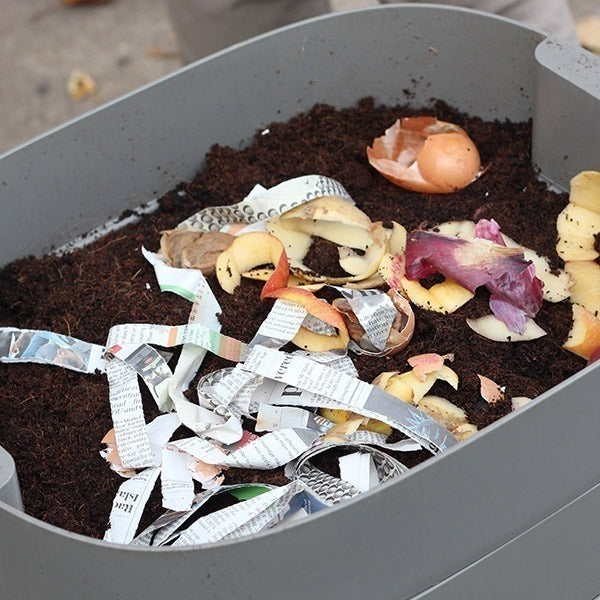 Troubleshooting your Worm Composter