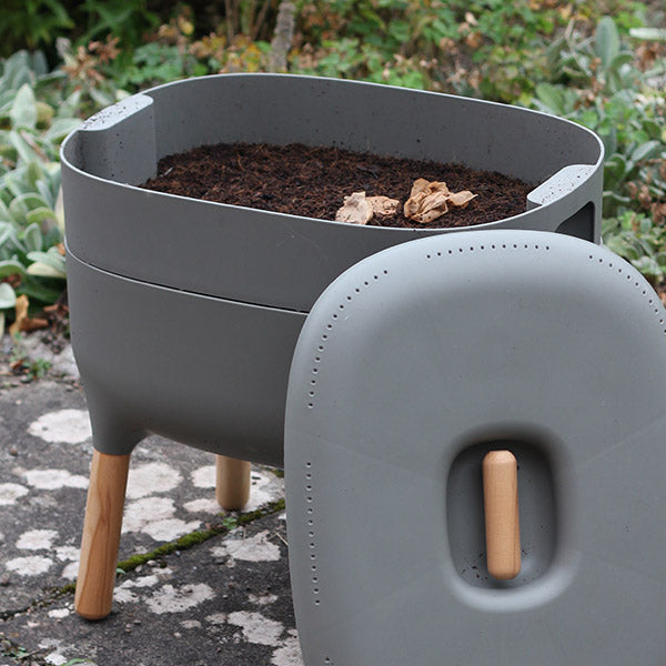 5 Top Tips for Worm Composting in Autumn