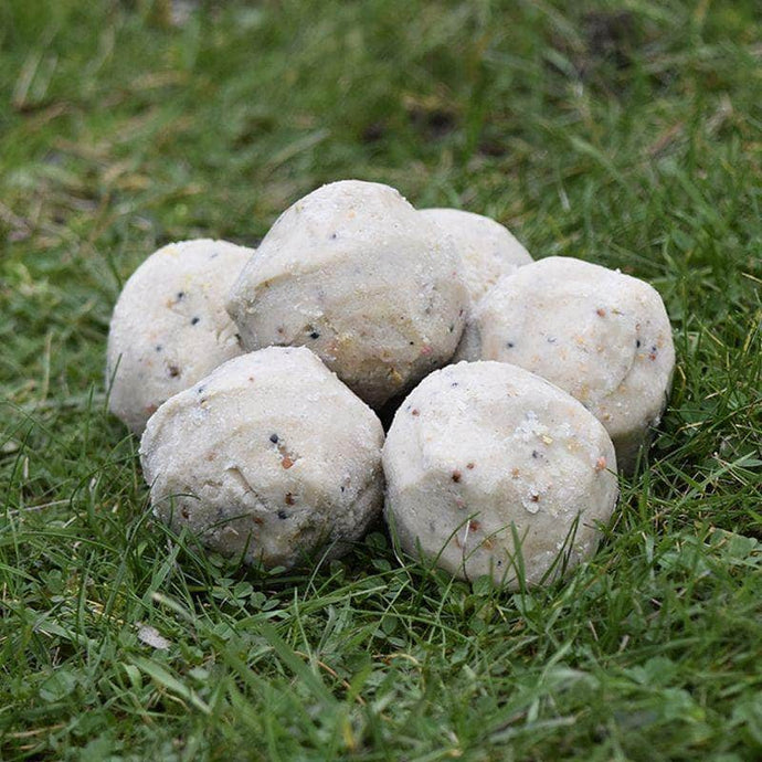 British Super Suet Fatballs: Power Up Your Garden Birds