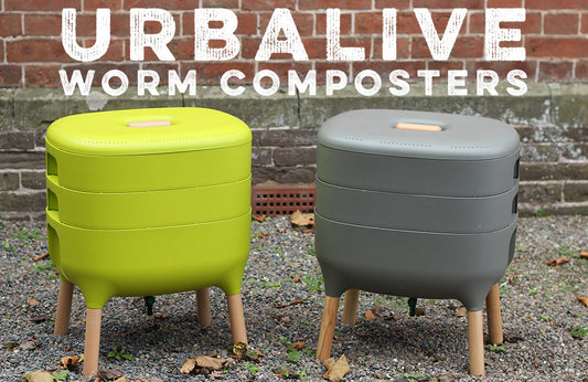 Composting worms love kitchen waste