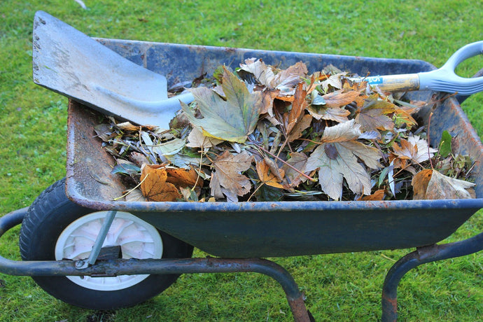 8 reasons to compost your garden waste this Autumn