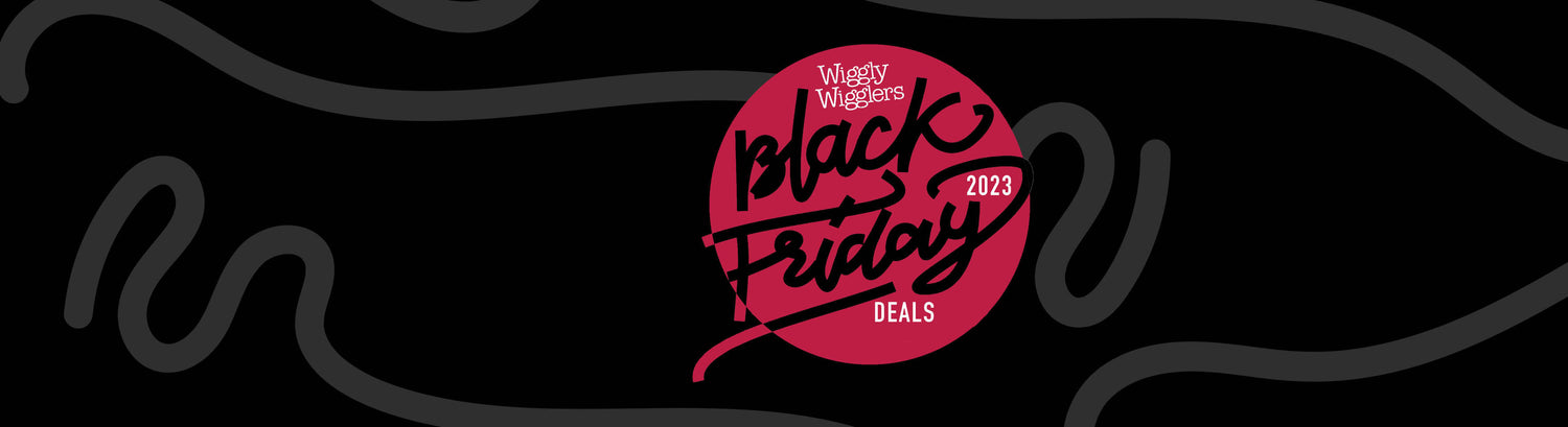 Black Friday Deals