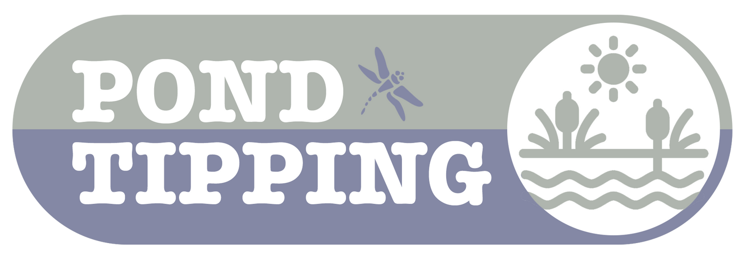 Pond Tipping – Bringing Life Back to the Pond Field 🌊🐸🐟🦆